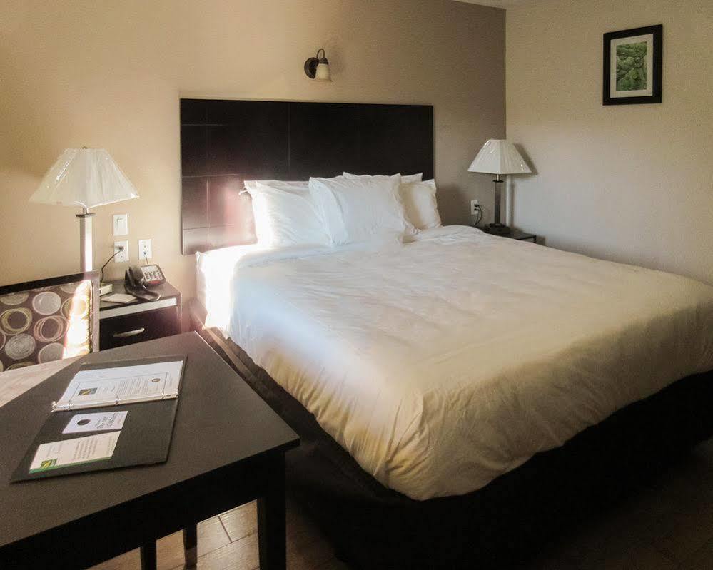 Quality Inn & Suites بيكرسفيلد المظهر الخارجي الصورة